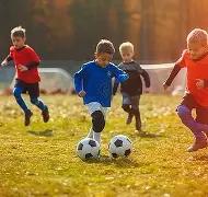 泰山球迷催,款心切,却急盼肝脏,乐鱼体育,LeYu,Sports,乐鱼体育官网,乐鱼体育官网,乐鱼体育下载,乐鱼体育APP