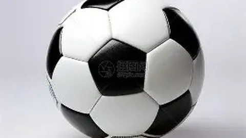 乐鱼体育 资讯 172457 o76