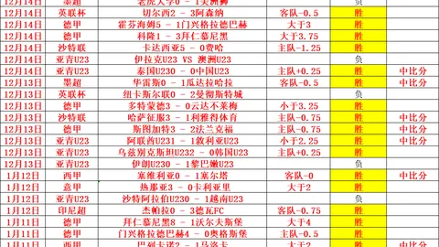 墨西哥联赛与澳超风格共鸣，这场收官大战吸睛十足，揭秘观赛攻略！
